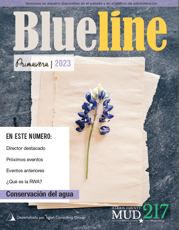 Newsletter Spring 2023 – Español