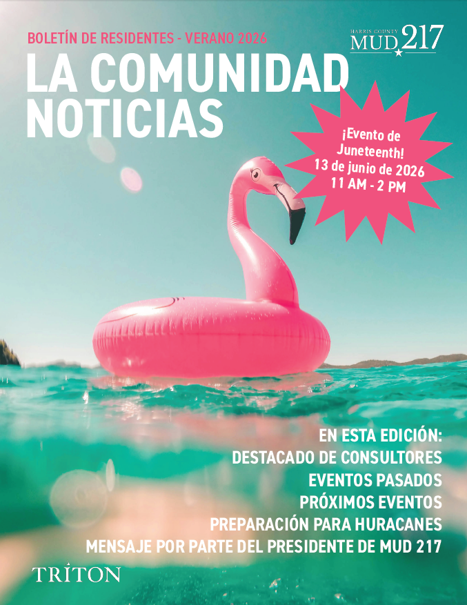 Revista Verano 2026